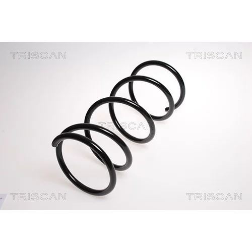 Pružina podvozku TRISCAN 8750 13134