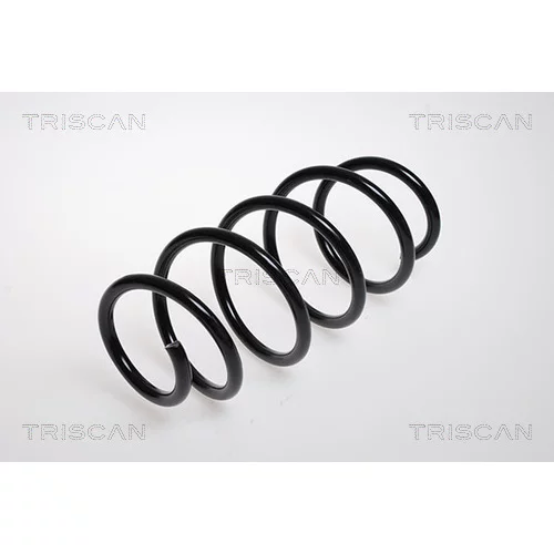 Pružina podvozku TRISCAN 8750 24077