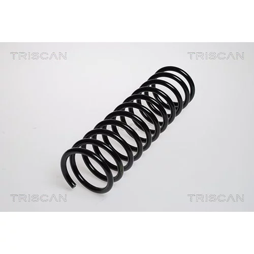 Pružina podvozku TRISCAN 8750 2913