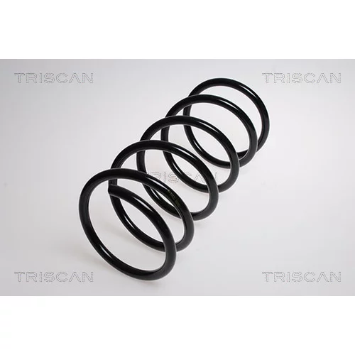 Pružina podvozku TRISCAN 8750 4347