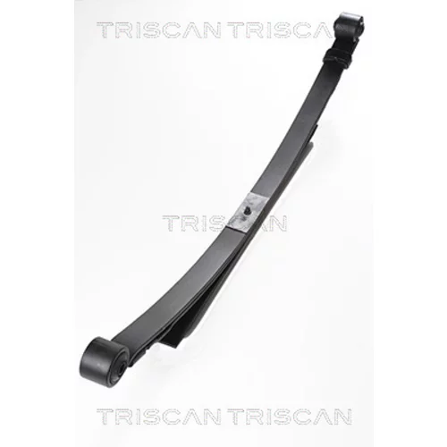 Sada pružín TRISCAN 8765 16008