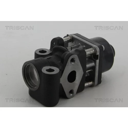 EGR ventil 8813 10013 /TRISCAN/ - obr. 2