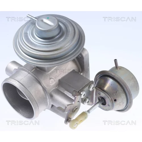 EGR ventil 8813 10034 /TRISCAN/ - obr. 2