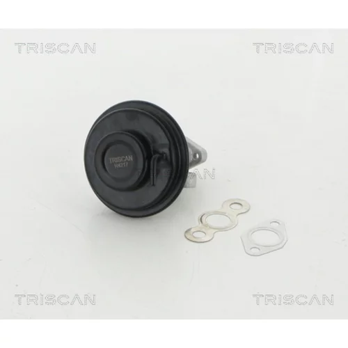 EGR ventil 8813 13030 /TRISCAN/ - obr. 1