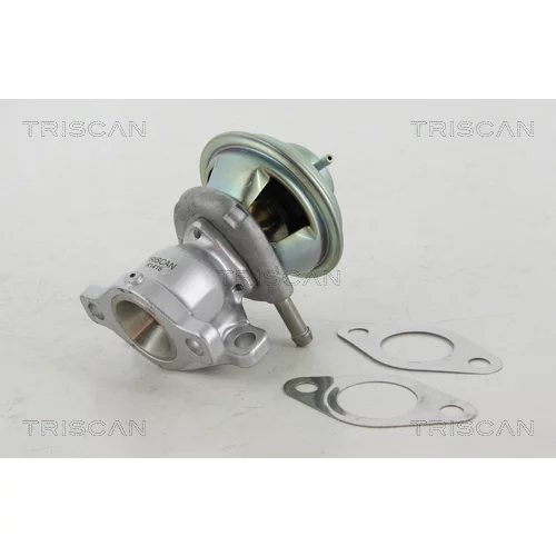 EGR ventil 8813 15029 /TRISCAN/ - obr. 1