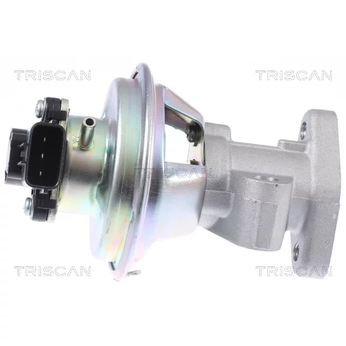 EGR ventil 8813 16069 /TRISCAN/ - obr. 1