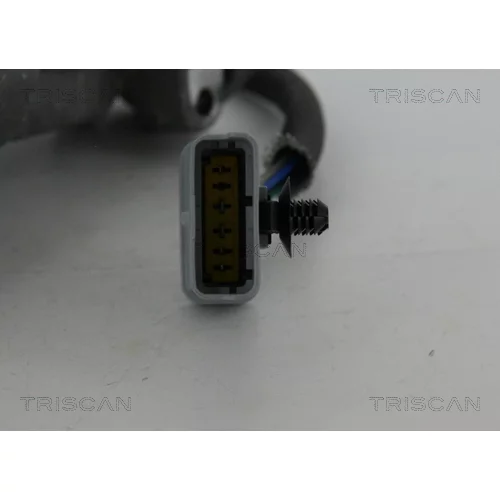 EGR ventil 8813 17019 /TRISCAN/ - obr. 1