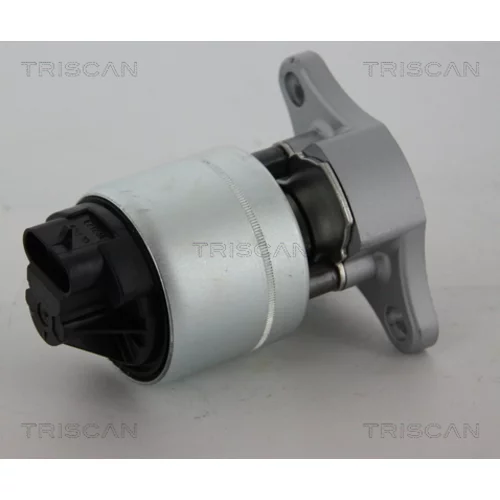 EGR ventil TRISCAN 8813 21006