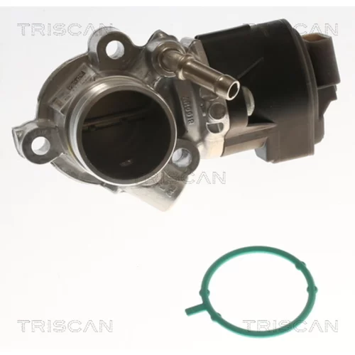 EGR ventil TRISCAN 8813 23042