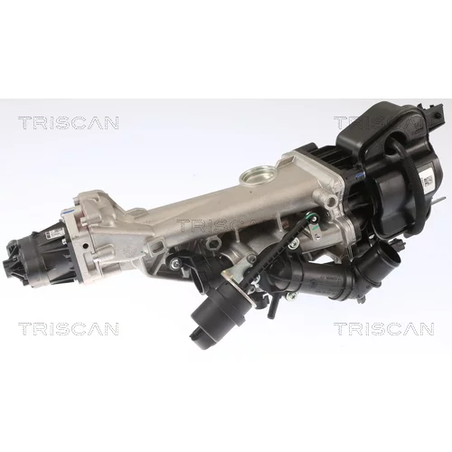 EGR ventil TRISCAN 8813 24007