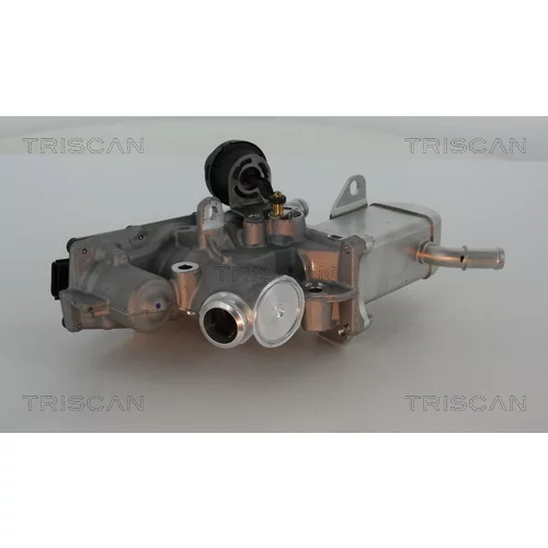 EGR ventil 8813 25013 /TRISCAN/ - obr. 2