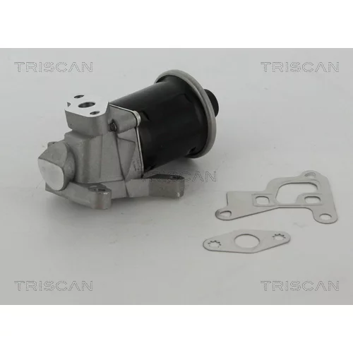 EGR ventil TRISCAN 8813 29100