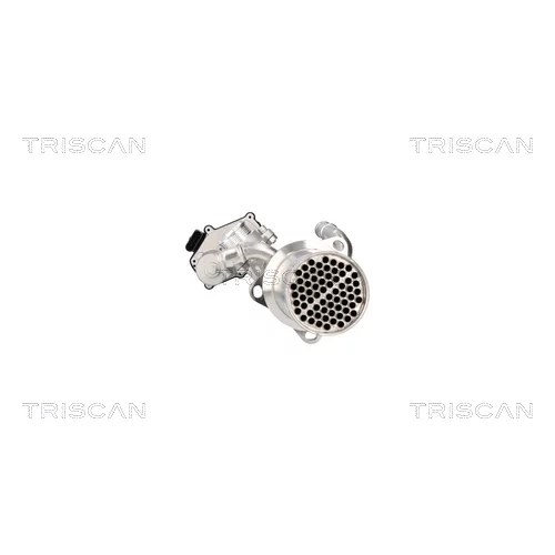 EGR ventil 8813 29117 /TRISCAN/ - obr. 4