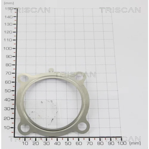 Tesnenie TRISCAN 8813 9989