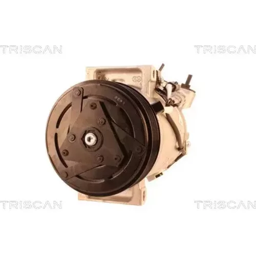Kompresor klimatizácie TRISCAN 9020 25008