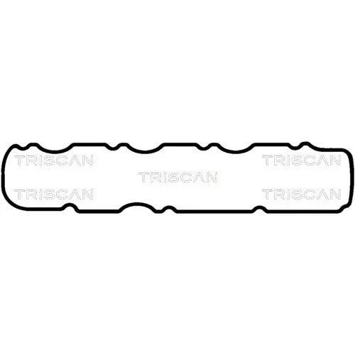 Tesnenie veka hlavy valcov TRISCAN 515-5560