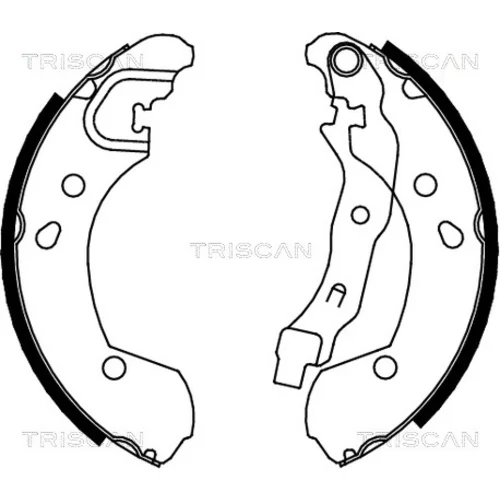 Sada brzdových čeľustí TRISCAN 8100 14002