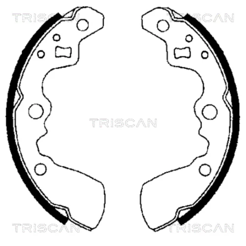 Sada brzdových čeľustí TRISCAN 8100 69550
