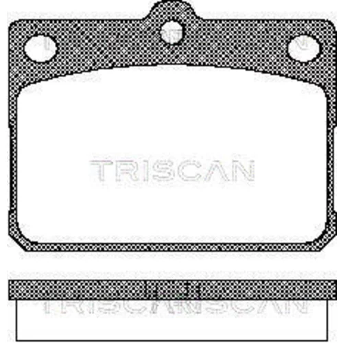 Sada brzdových platničiek kotúčovej brzdy TRISCAN 8110 10009