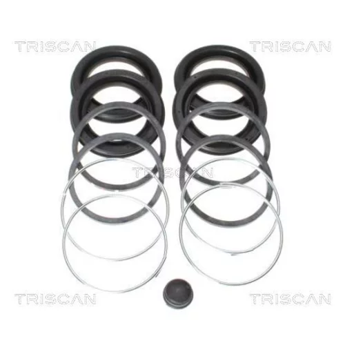 Opravná sada brzdového strmeňa 8170 204341 /TRISCAN/
