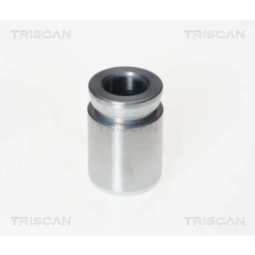 Piest brzdového strmeňa 8170 233304 /TRISCAN/