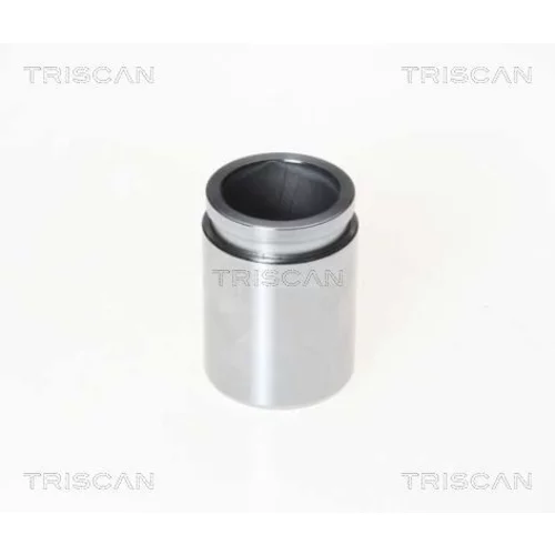 Piest brzdového strmeňa 8170 233427 /TRISCAN/