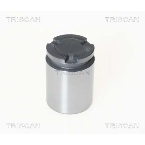 Piest brzdového strmeňa 8170 233856 /TRISCAN/