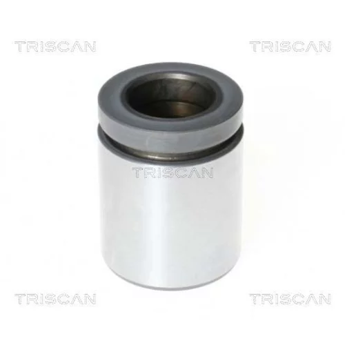 Piest brzdového strmeňa 8170 234419 /TRISCAN/
