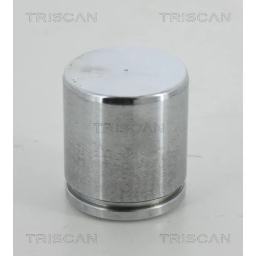 Piest brzdového strmeňa 8170 234613 /TRISCAN/