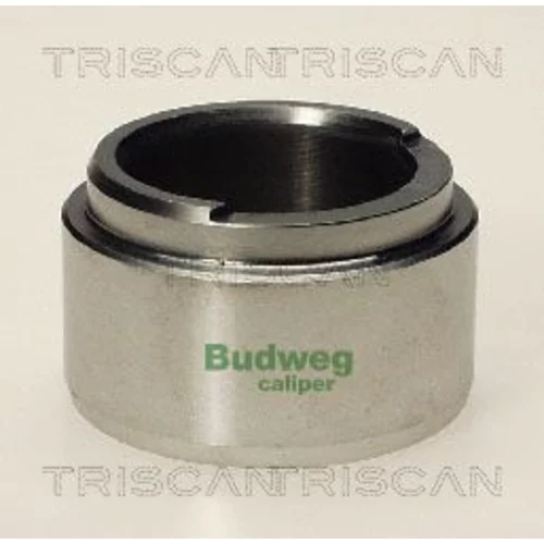 Piest brzdového strmeňa 8170 234803 /TRISCAN/
