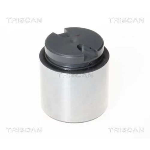 Piest brzdového strmeňa 8170 234867 /TRISCAN/