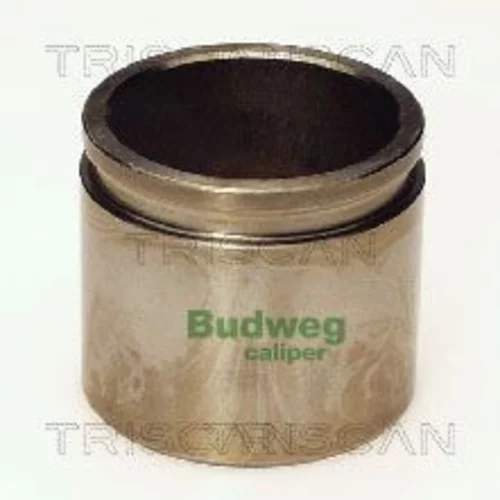 Piest brzdového strmeňa 8170 235117 /TRISCAN/