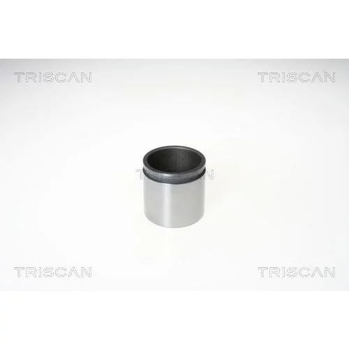 Piest brzdového strmeňa 8170 235476 /TRISCAN/