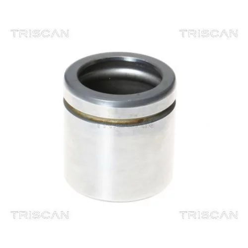 Piest brzdového strmeňa 8170 235478 /TRISCAN/
