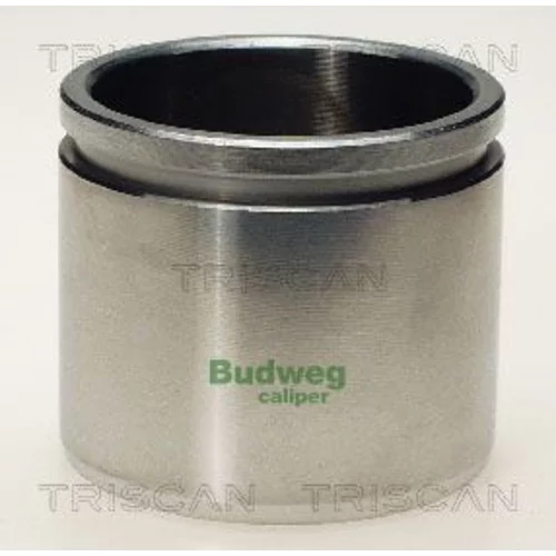 Piest brzdového strmeňa 8170 235715 /TRISCAN/