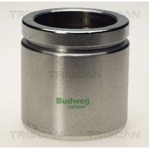 Piest brzdového strmeňa 8170 235723 /TRISCAN/