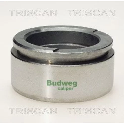 Piest brzdového strmeňa 8170 236002 /TRISCAN/