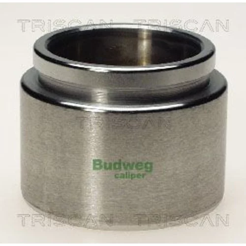 Piest brzdového strmeňa 8170 236021 /TRISCAN/
