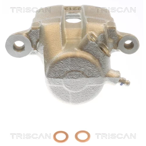 Brzdový strmeň 8175 50109 /TRISCAN/ - obr. 1