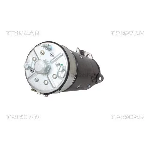 Štartér 8305 10131 /TRISCAN/ - obr. 4