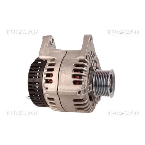 Alternátor 8310 10015 /TRISCAN/ - obr. 3