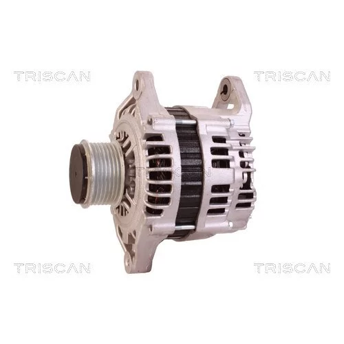 Alternátor 8310 10015 /TRISCAN/ - obr. 6