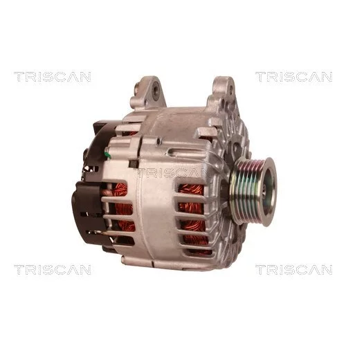 Alternátor 8310 10018 /TRISCAN/ - obr. 3