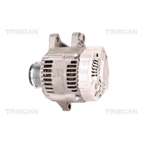 Alternátor 8310 10047 /TRISCAN/ - obr. 7