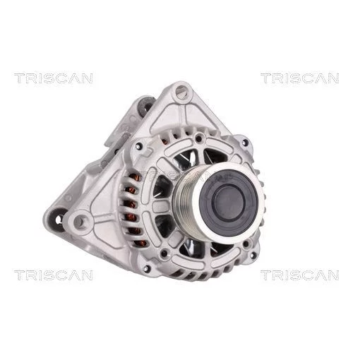 Alternátor 8310 10059 /TRISCAN/ - obr. 4