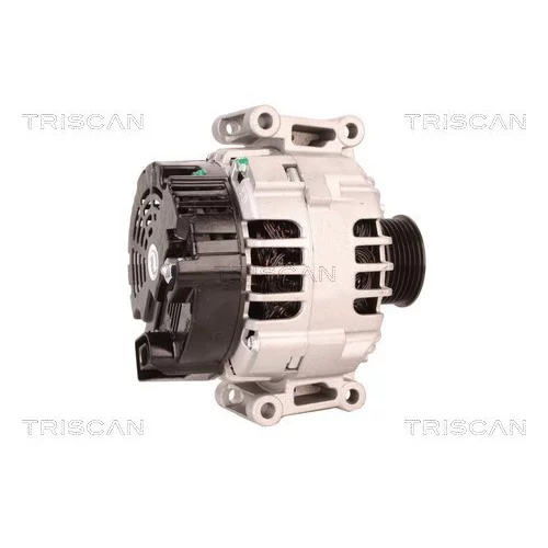 Alternátor 8310 10060 /TRISCAN/ - obr. 2