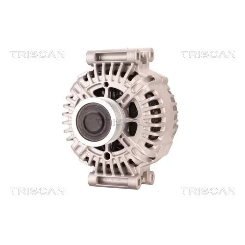 Alternátor 8310 10060 /TRISCAN/ - obr. 5