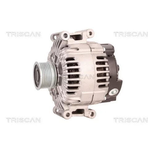 Alternátor 8310 10060 /TRISCAN/ - obr. 6