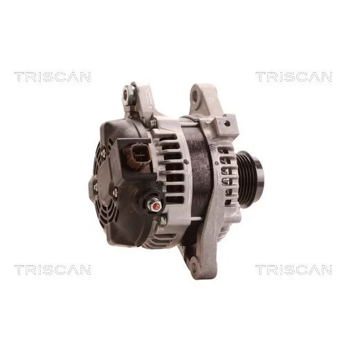 Alternátor 8310 10070 /TRISCAN/ - obr. 2
