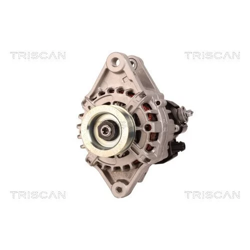 Alternátor 8310 10070 /TRISCAN/ - obr. 5